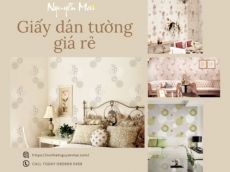 Giấy dán tường giá rẻ có nên chọn hay không ? | Nội Thất Nguyễn Mai
