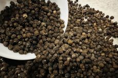 Quy trình sản xuất hạt tiêu đen chất lượng cao tại Jrai Farm