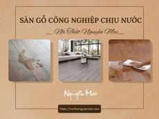 Sàn gỗ công nghiệp chịu nước là gì và cách chọn? | Nội Thất Nguyễn Mai